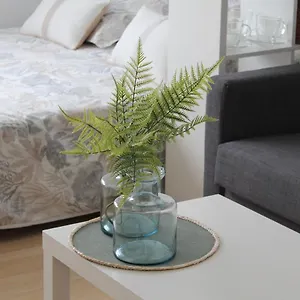 Paseo Maritimo Apartamento